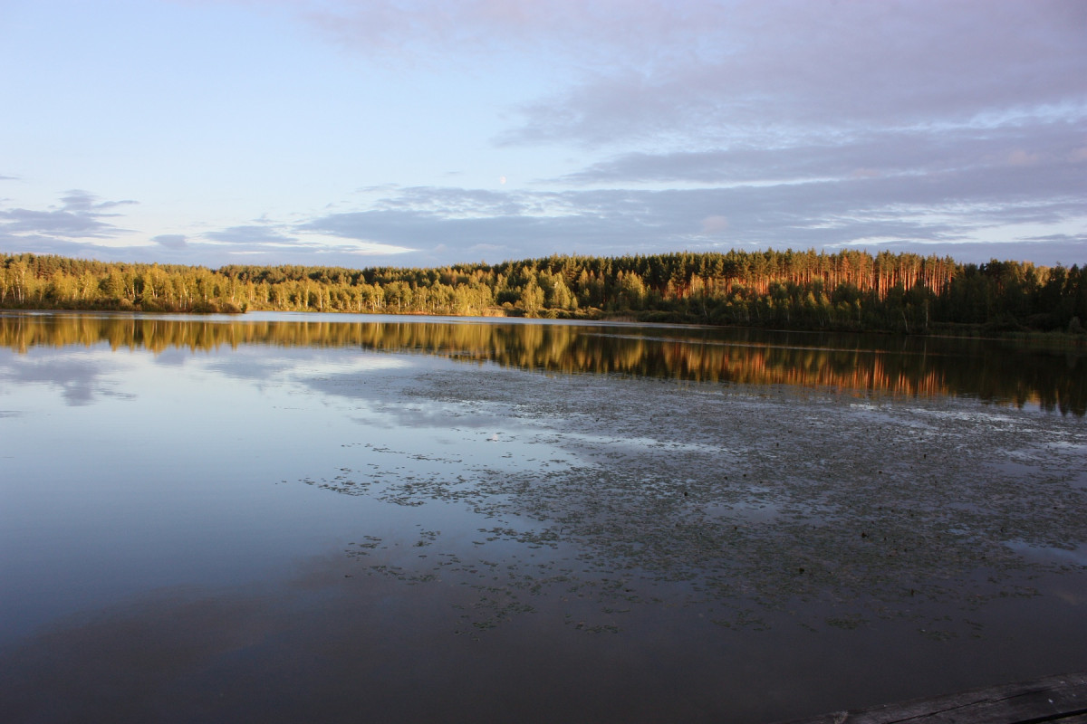 Озеро клюква Курская область